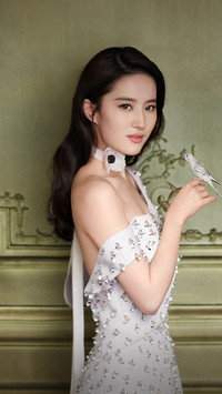 刘亦菲