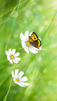 Spring is here