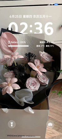 景深ins花束