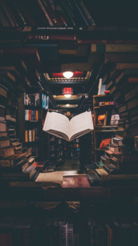 Literacy Day  (12)