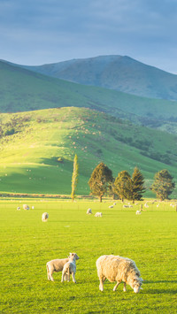 A country without neighbors
