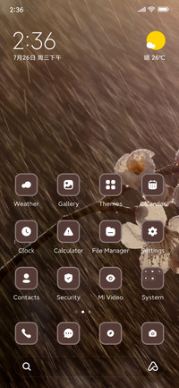 Blossom Rain
