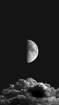 The night falls between black and white