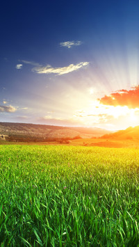 Farmland fields