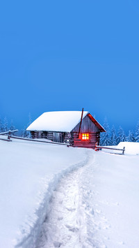 wooden house in winter forest