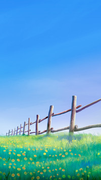 A wooden fence, green grass and a clear blue sky