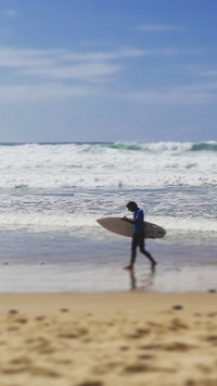 surfing (3)