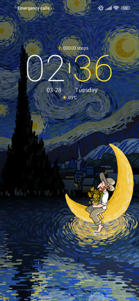 Star Night Fantasy