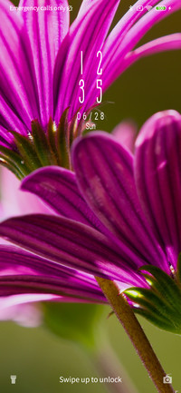 Daisy flower_3MDS