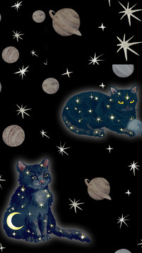 Cat Pattern