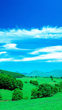 VCG41122677284