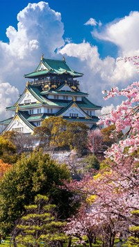 Spring cherry blossom-05