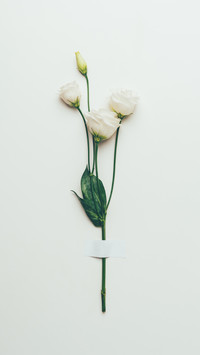 flowers-09