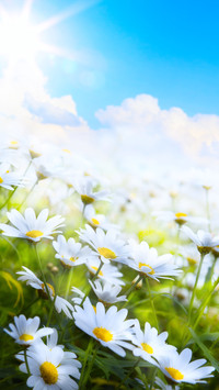 Spring is here