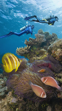 潜水胜地