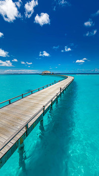 Go to Maldives