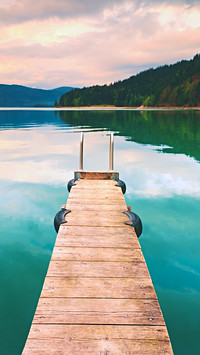 World Environmental Protection Day
