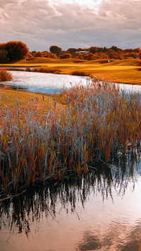 Good scenery in spring-06
