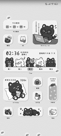 猫猫的工作日常