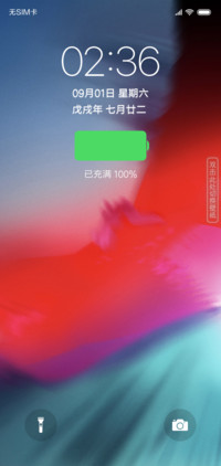IOS X