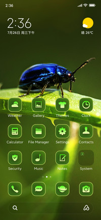 leaves beetle