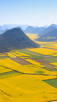 High angle view of oilseed rape farms against sky
