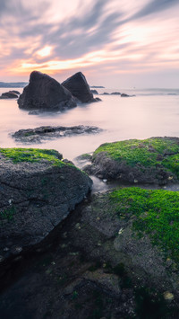 The reef after the tide recedes