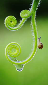 Introduction to Basic Knowledge of Macro Photography 6