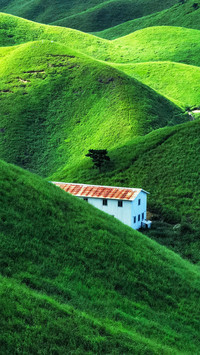 Red roof 2