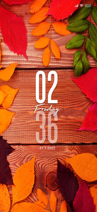 Autumn Qz