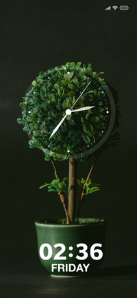 Plant Leaves