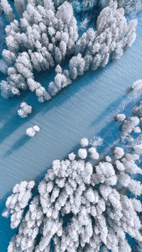白首天涯，雪落归家