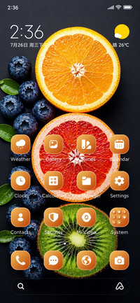 Citrus Contrast