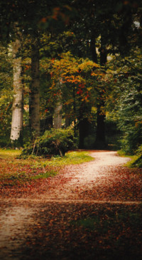 Roads &amp; Pathways (28)