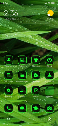 Rain grass