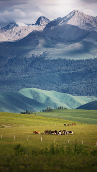 The peak of central asia in the tianshan mountains