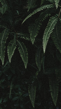 international_nature (3)
