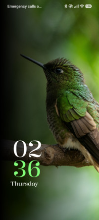 Emerald Hummer