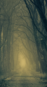 Roads &amp; Pathways (13)