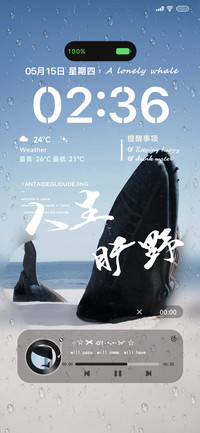 孤独的鲸OS