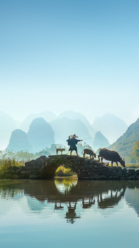 岁月的奴