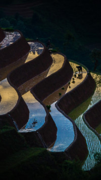 Vietnam  (4)