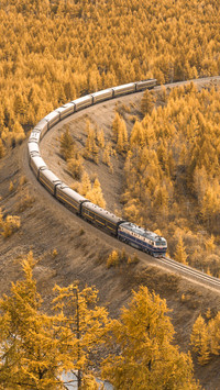 Daxinganling Autumn Forest Railway