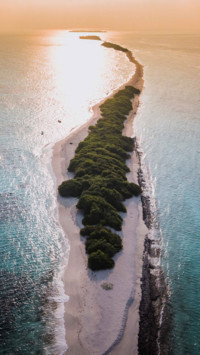 Maldives (17)