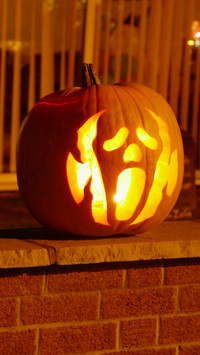 halloween (13)