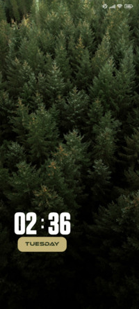 Forest