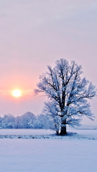Winter beauty