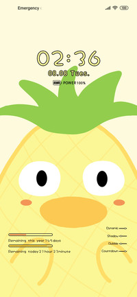 Pineapple Duck
