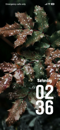 Fresh Leaves