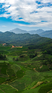 Step into a tea town that warms up slowly